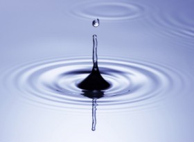 Bienvenue sur notre site web - Bienvenue sur BASCHET.com